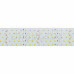 Лента RT 2-2500 24V Cool 8K 5x2 (2835, 875 LED, LUX)