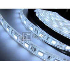 Герметичная светодиодная лента SMD 5050 60LED/m IP68 12V White